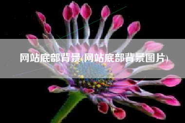 网站底部背景(网站底部背景图片)