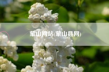 蒙山网站(蒙山县网)