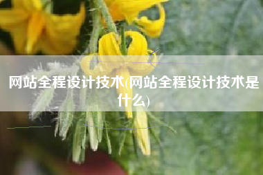 网站全程设计技术(网站全程设计技术是什么)