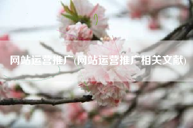 网站运营推广(网站运营推广相关文献)