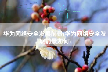 华为网络安全发展前景(华为网络安全发展前景如何)
