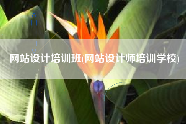 网站设计培训班(网站设计师培训学校)