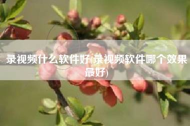 录视频什么软件好(录视频软件哪个效果最好)