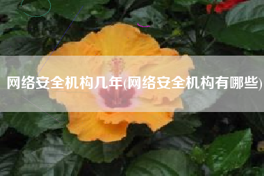 网络安全机构几年(网络安全机构有哪些)