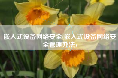 嵌入式设备网络安全(嵌入式设备网络安全管理办法)