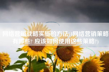 网络营销战略实施的方法(4网络营销策略有哪些? 应该如何使用这些策略?)