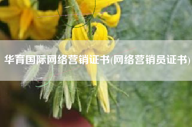 华育国际网络营销证书(网络营销员证书)