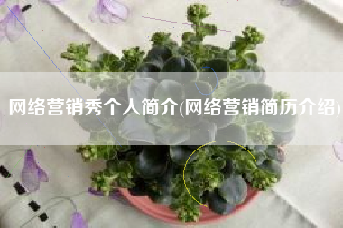 网络营销秀个人简介(网络营销简历介绍)