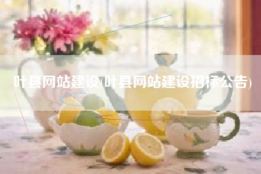 叶县网站建设(叶县网站建设招标公告)