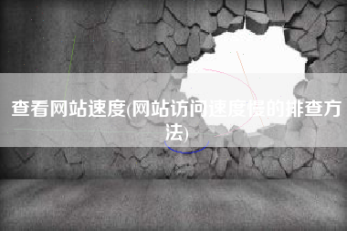 查看网站速度(网站访问速度慢的排查方法)