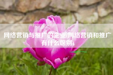 网络营销与推广的企业(网络营销和推广有什么区别)
