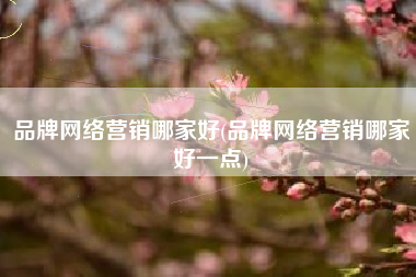 品牌网络营销哪家好(品牌网络营销哪家好一点)