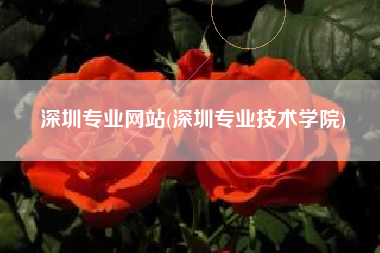 深圳专业网站(深圳专业技术学院)