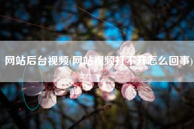 网站后台视频(网站视频打不开怎么回事)