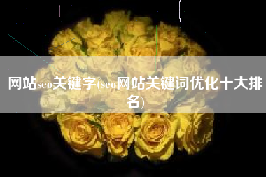 网站seo关键字(seo网站关键词优化十大排名)
