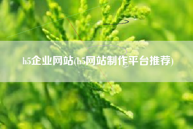 h5企业网站(h5网站制作平台推荐)