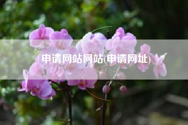 申请网站网站(申请网址)