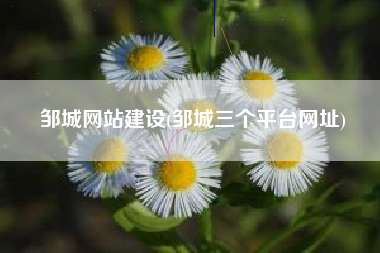 邹城网站建设(邹城三个平台网址)