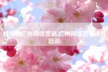 权威的广州网络营销(广州网络营销课程培训)