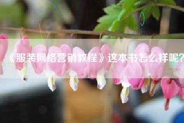 《服装网络营销教程》这本书怎么样呢？