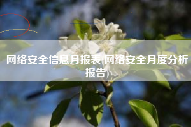 网络安全信息月报表(网络安全月度分析报告)