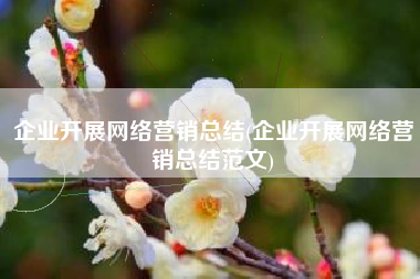 企业开展网络营销总结(企业开展网络营销总结范文)