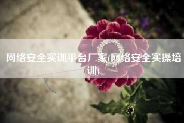 网络安全实训平台厂家(网络安全实操培训)