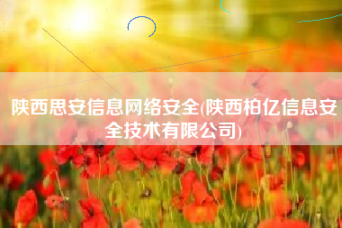 陕西思安信息网络安全(陕西柏亿信息安全技术有限公司)