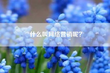 什么叫网络营销呢？
