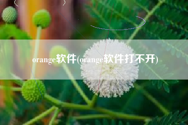 orange软件(orange软件打不开)