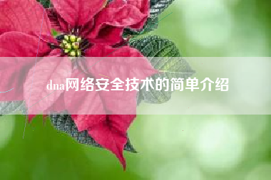 dna网络安全技术的简单介绍