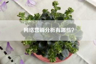 网络营销分析有哪些？