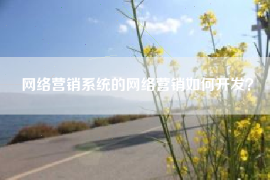 网络营销系统的网络营销如何开发？