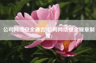 公司网络安全通告(公司网络安全规章制度)
