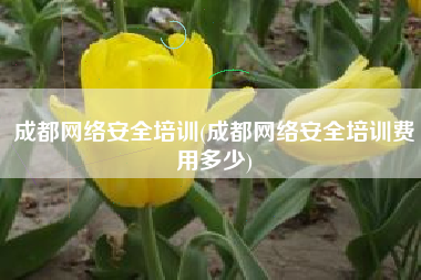 成都网络安全培训(成都网络安全培训费用多少)