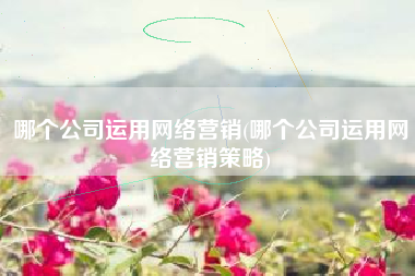哪个公司运用网络营销(哪个公司运用网络营销策略)