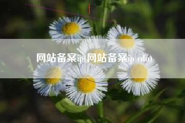 网站备案ip(网站备案ip cdn)