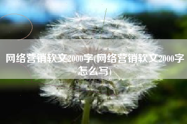 网络营销软文2000字(网络营销软文2000字怎么写)