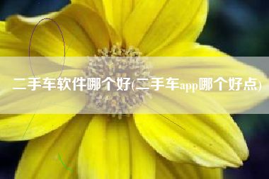 二手车软件哪个好(二手车app哪个好点)