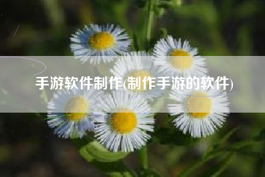 手游软件制作(制作手游的软件)