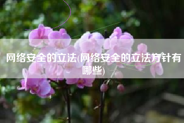 网络安全的立法(网络安全的立法方针有哪些)