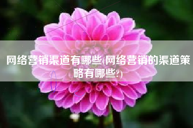 网络营销渠道有哪些(网络营销的渠道策略有哪些?)