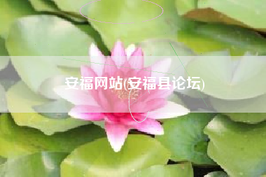 安福网站(安福县论坛)