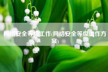 网络安全等级工作(网络安全等级工作方案)