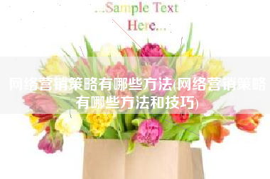 网络营销策略有哪些方法(网络营销策略有哪些方法和技巧)
