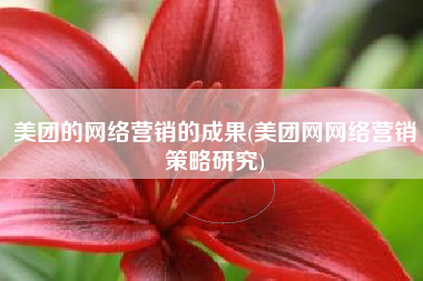 美团的网络营销的成果(美团网网络营销策略研究)