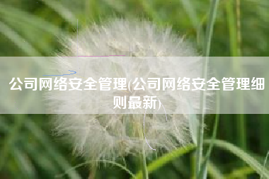 公司网络安全管理(公司网络安全管理细则最新)