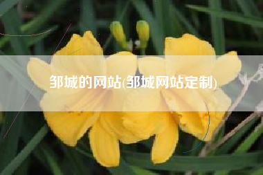 邹城的网站(邹城网站定制)