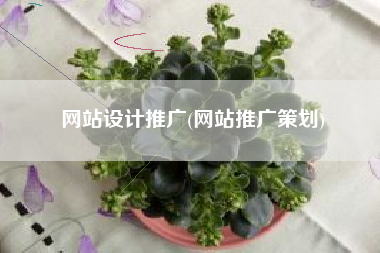 网站设计推广(网站推广策划)