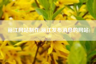 丽江网站制作(丽江发布消息的网站)